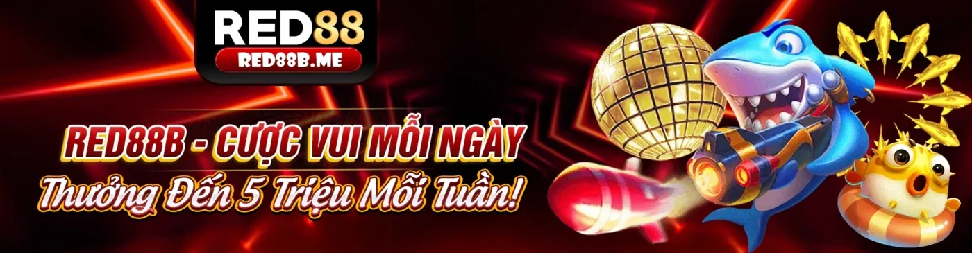 Điều Khoản Dịch Vụ 66ff code - Nền tảng cá cược uy tín